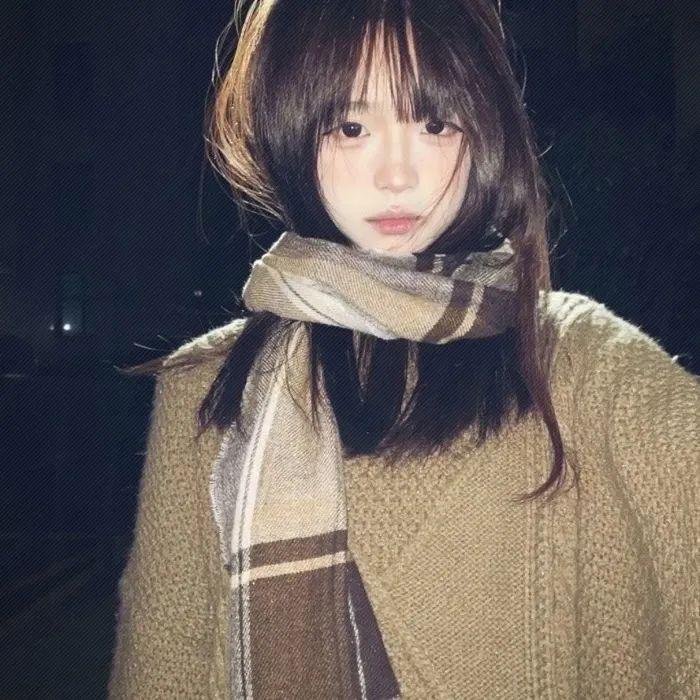 森林之境