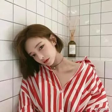 金鹿